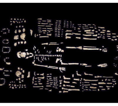 Screenshot of Homo naledi