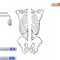 Screenshot of Skeleton Quiz