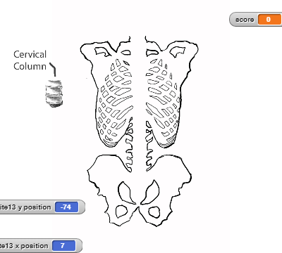 Screenshot of Skeleton Quiz