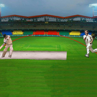 Screenshot of cricket