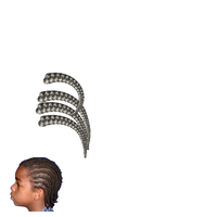 Screenshot of braids
