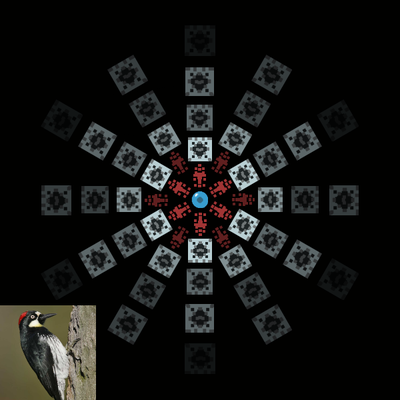 Screenshot of woodpecker design
