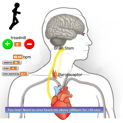 Screenshot of heart feedback loop2